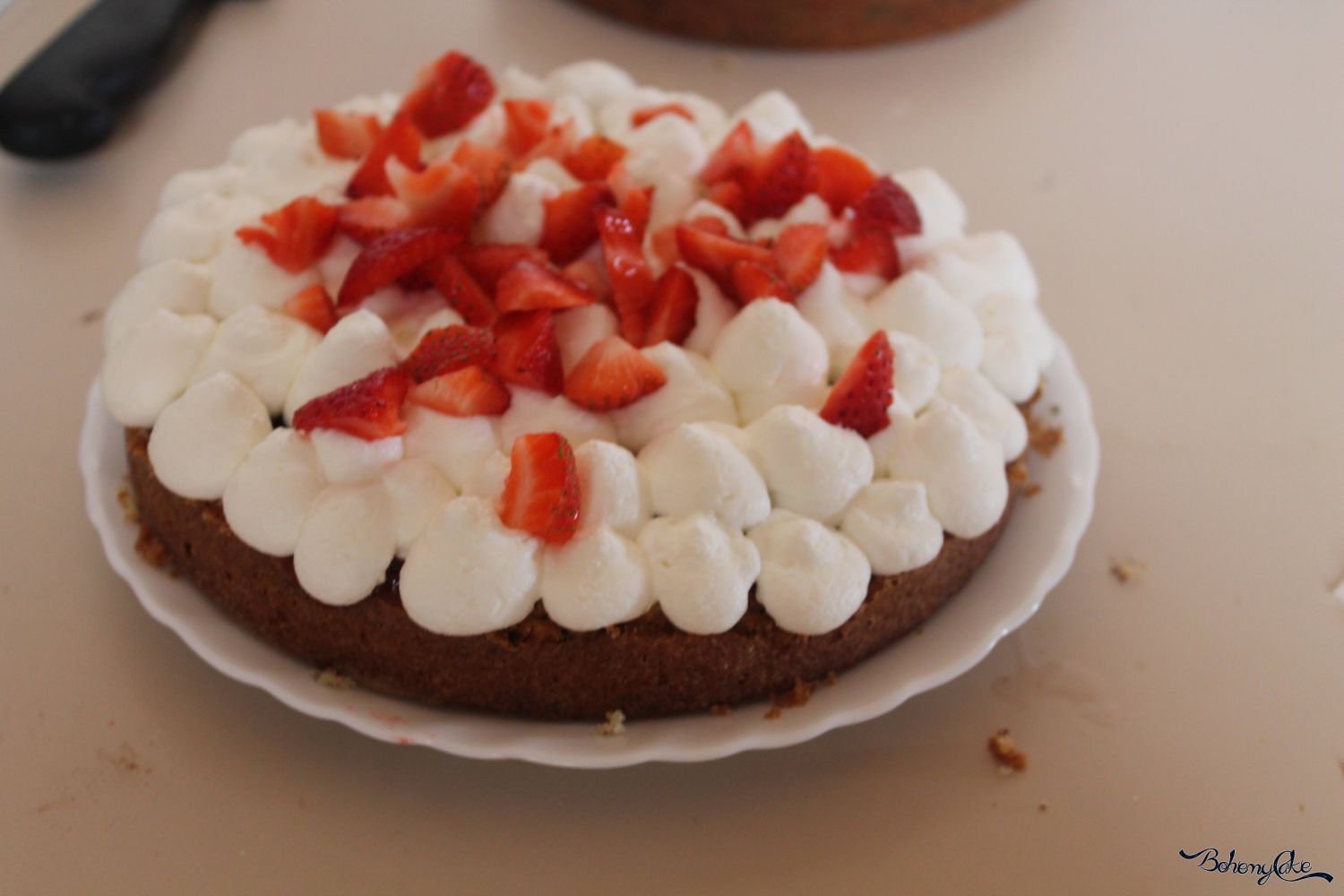 sponge cake