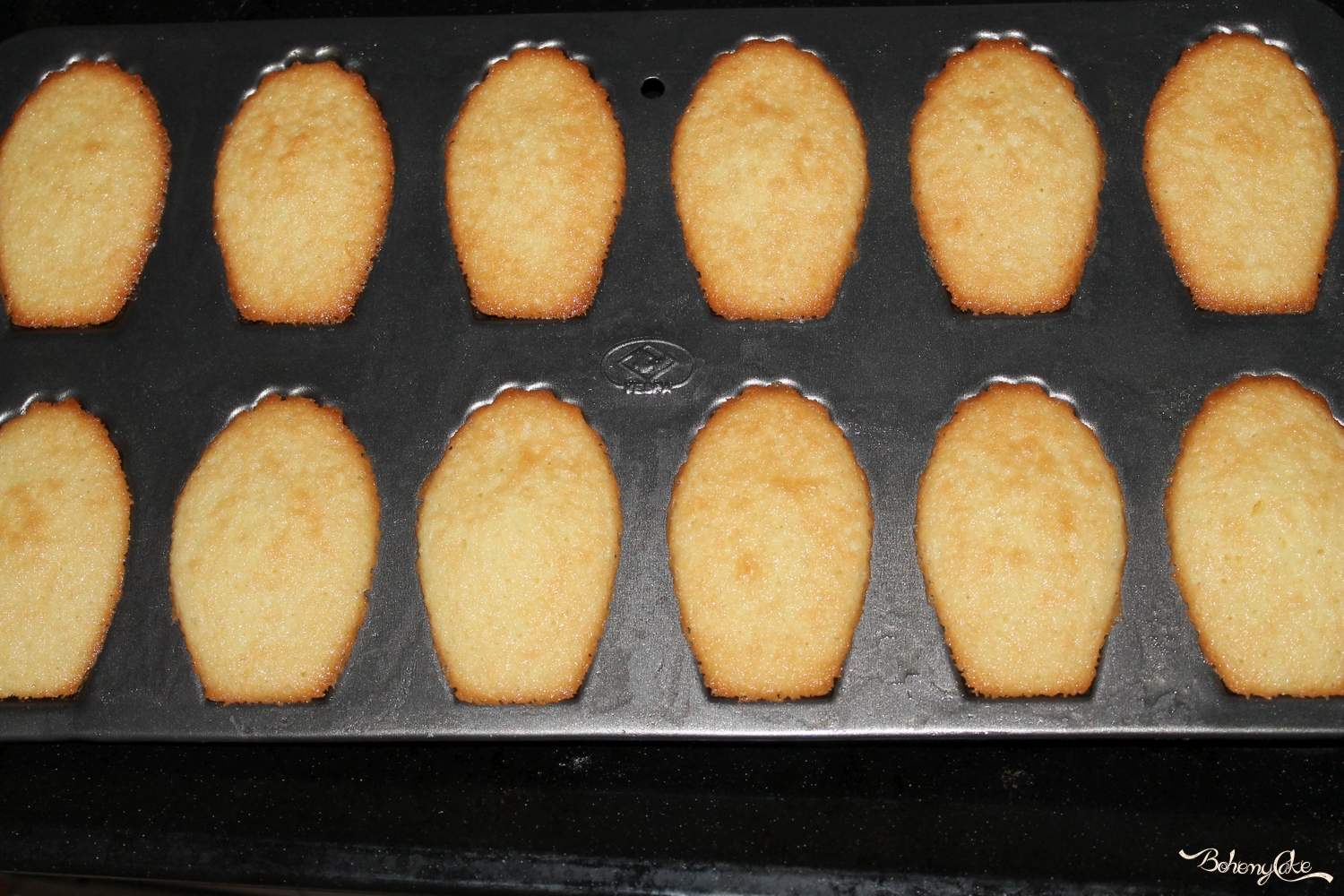 Madeleine al limone